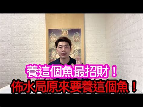 風水魚推薦|【風水魚種類】讓住家運勢旺旺！你不可不知的十大風水魚種類